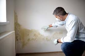 Best Mold Remediation for Rental Properties  in Boonsboro, MD